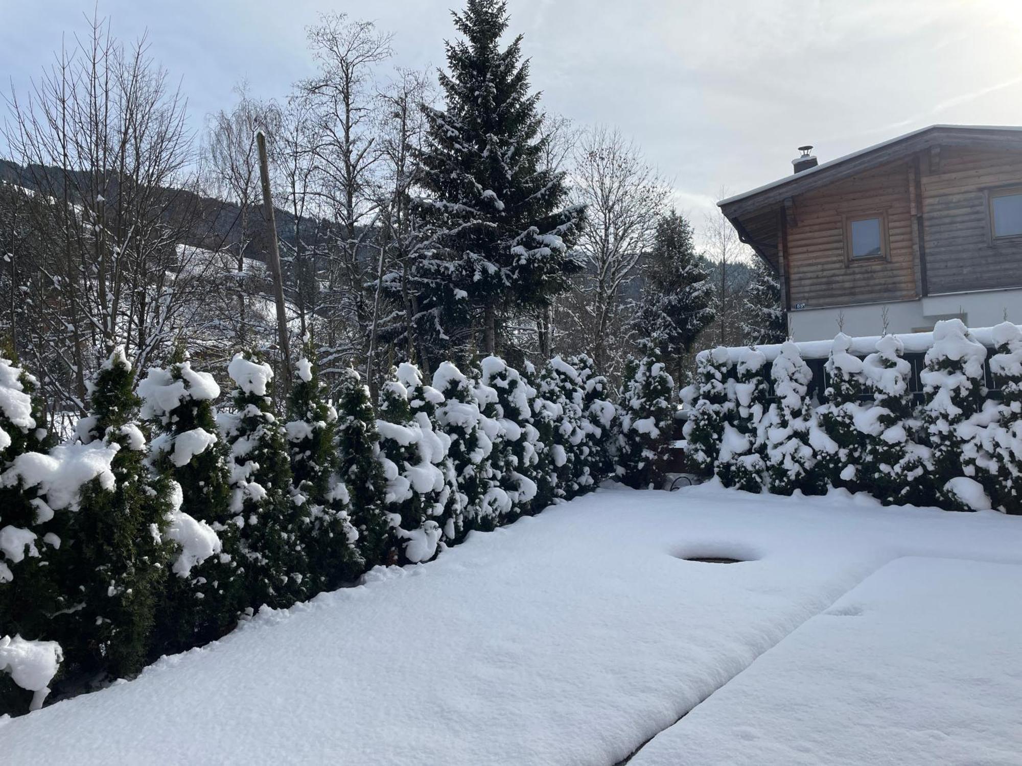 Garten Suite Kirchberg By Alpine Host Helpers Кирхберг Экстерьер фото